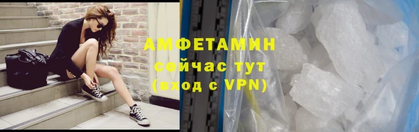 прущие грибы Покровск