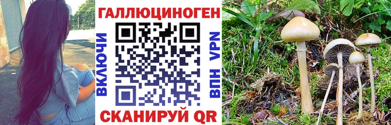 Галлюциногенные грибы Psilocybe  где купить   мега вход  Великие Луки 