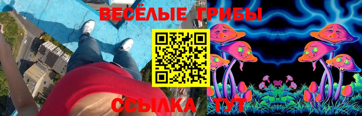 сколько стоит  Вход с VPN  Великие Луки  Галлюциногенные грибы Psilocybine cubensis 