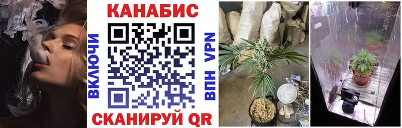 Бошки марихуана планчик  даркнет сайт  Великие Луки 